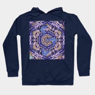 Butterflies against a floral kaleidoscope in blue Hoodie